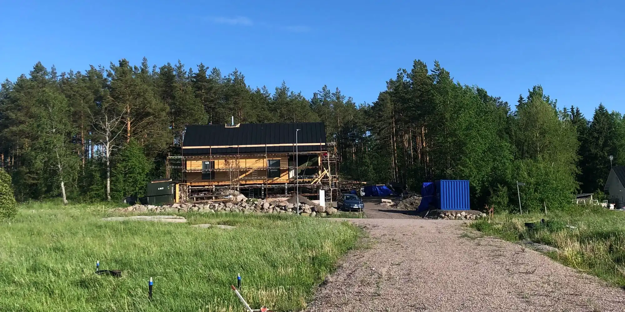 Siperianlehtikuusia